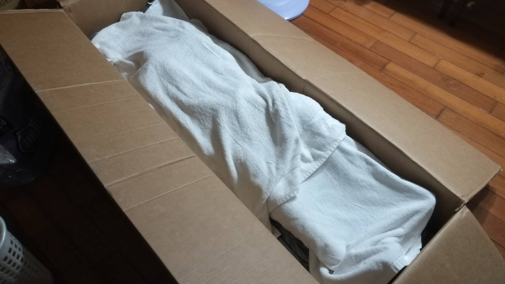 矽膠娃娃凹陷怎麼辦 外箱沒壞但運輸造成內部壓傷與變形