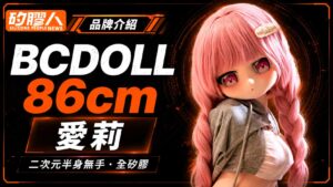 bcdoll cover