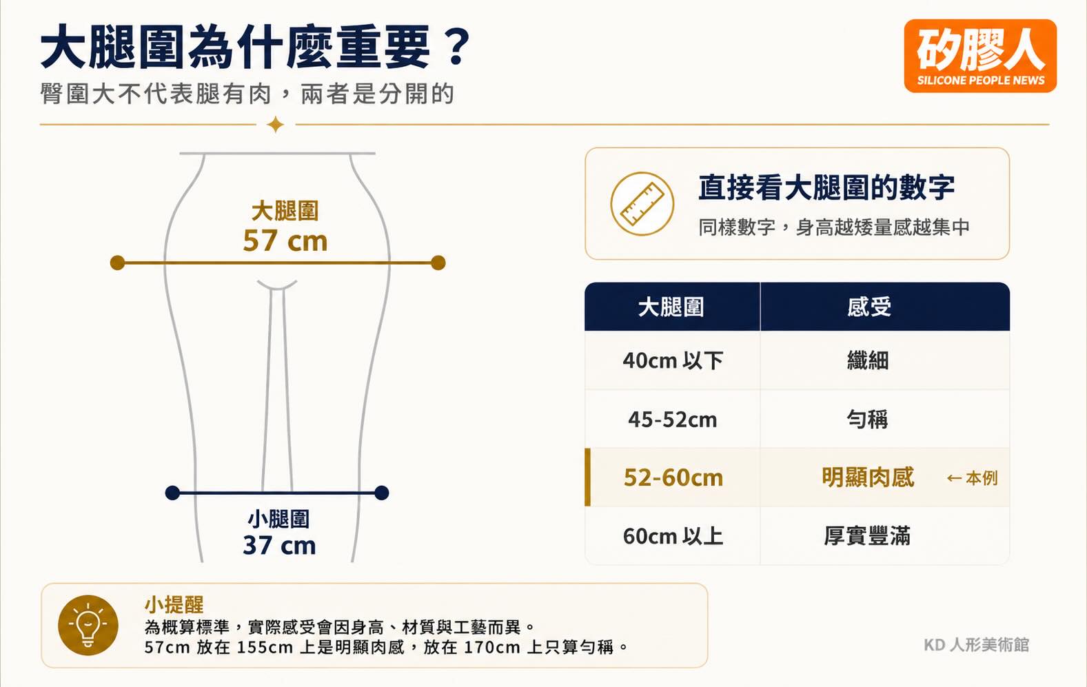 大腿圍示意圖，52 至 60 公分屬於明顯肉感